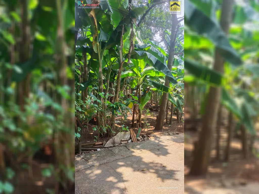 TANAH KOMSEN (3).jpeg