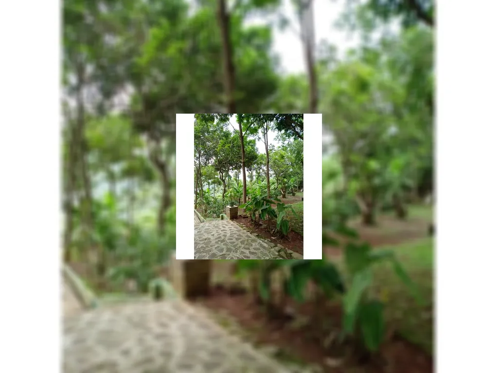 Dijual Rumah makan sunda di Purwakarta, Luas, Murah, Strategis Purwakarta, Jawabarat (4).jpg