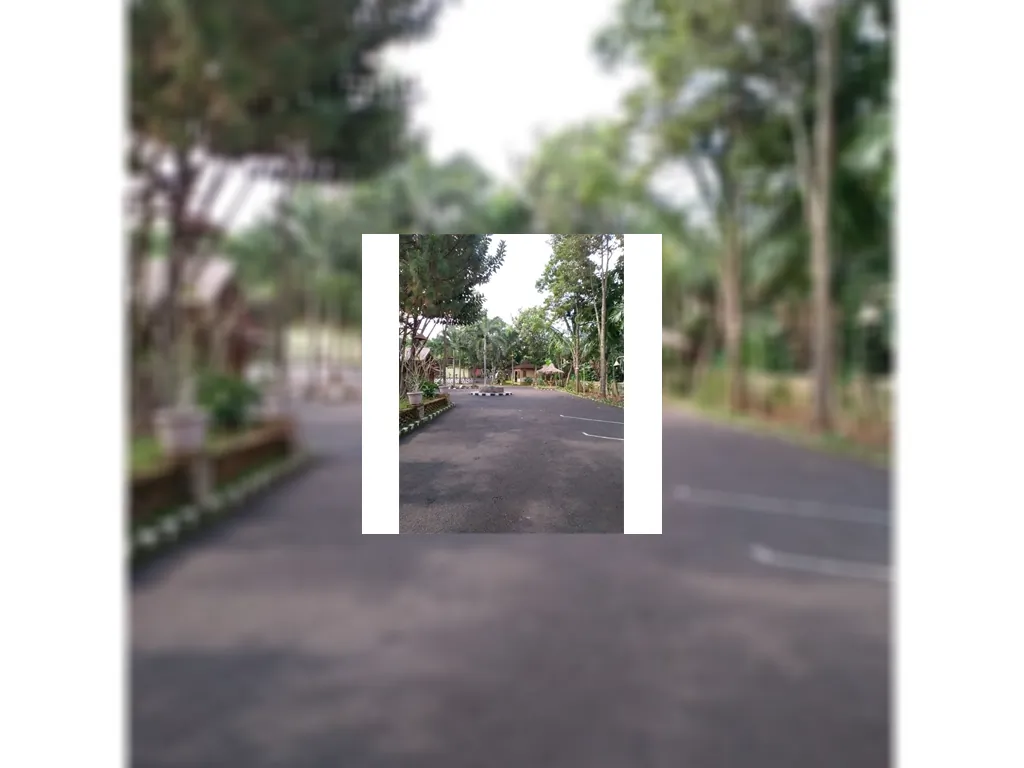 Dijual Rumah makan sunda di Purwakarta, Luas, Murah, Strategis Purwakarta, Jawabarat (6).jpg