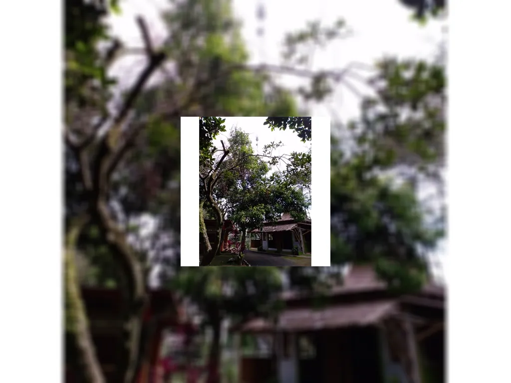 Dijual Rumah makan sunda di Purwakarta, Luas, Murah, Strategis Purwakarta, Jawabarat (8).jpg