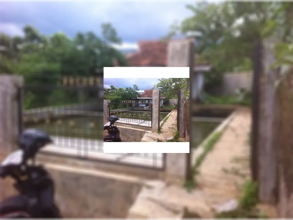 Dijual Tanah Kolam Ikan di Ujungberung (Nagrog) Bandung Tanah Kolam Ikan (4).jpeg