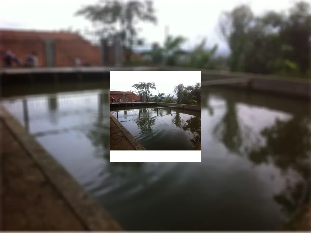 Dijual Tanah Kolam Ikan di Ujungberung (Nagrog) Bandung Tanah Kolam Ikan (3).jpeg