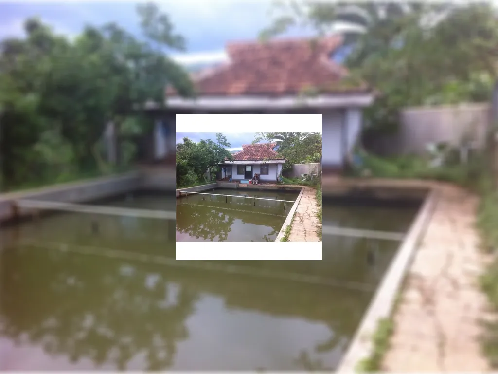 Dijual Tanah Kolam Ikan di Ujungberung (Nagrog) Bandung Tanah Kolam Ikan (1).jpeg