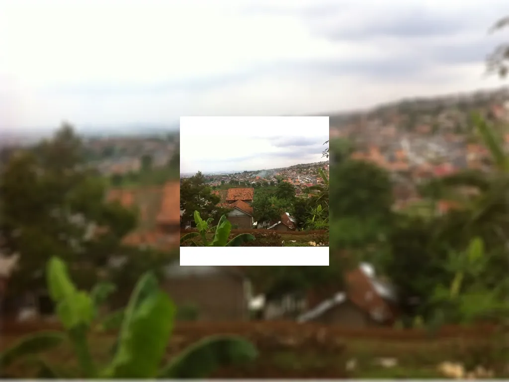 Dijual Tanah Kolam Ikan di Ujungberung (Nagrog) Bandung Tanah Kolam Ikan (2).jpeg