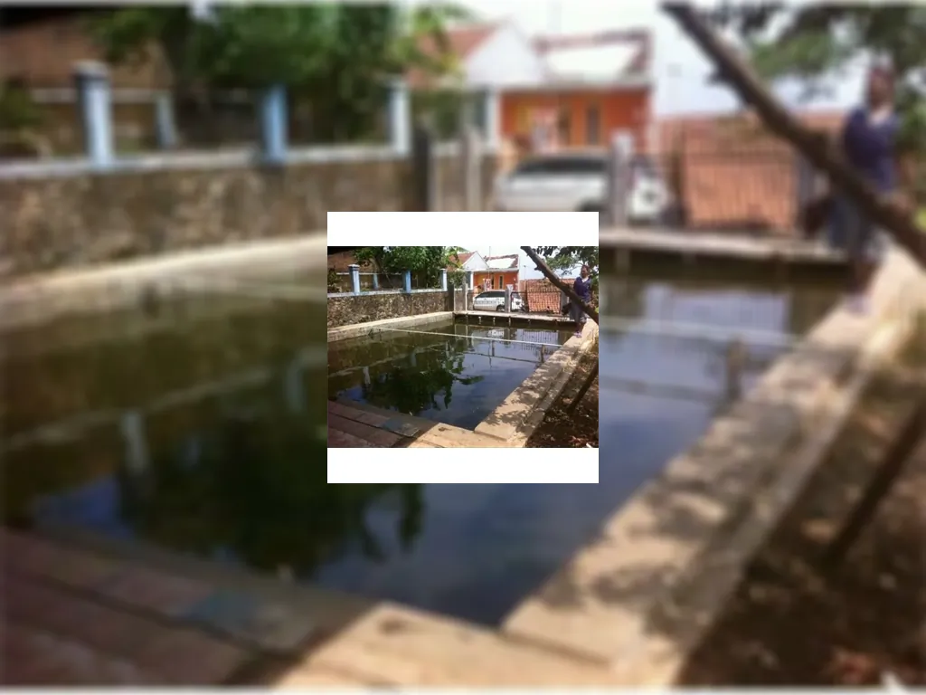 Dijual Tanah Kolam Ikan di Ujungberung (Nagrog) Bandung Tanah Kolam Ikan (5).jpeg