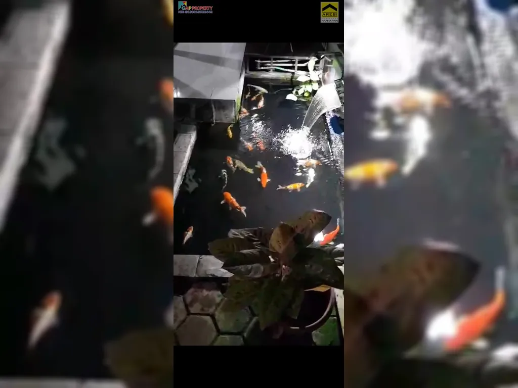 kolam ikan koi.jpg