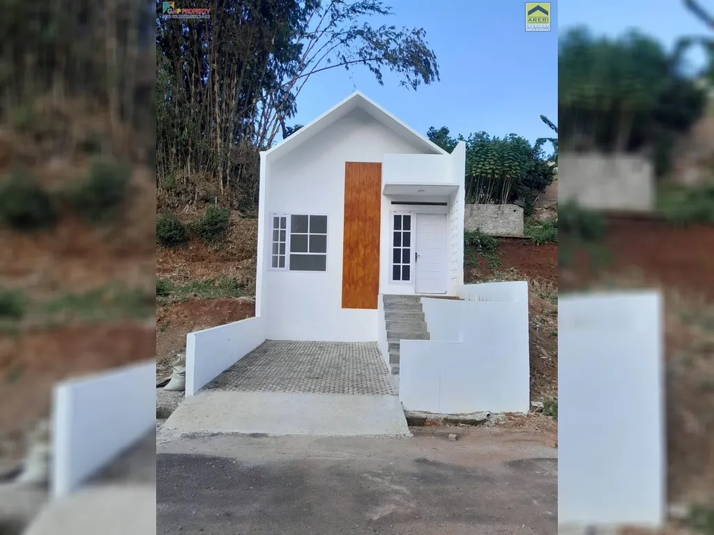 WhatsApp Image 2024-10-11 at 10.00.57_e8e7d632.jpg