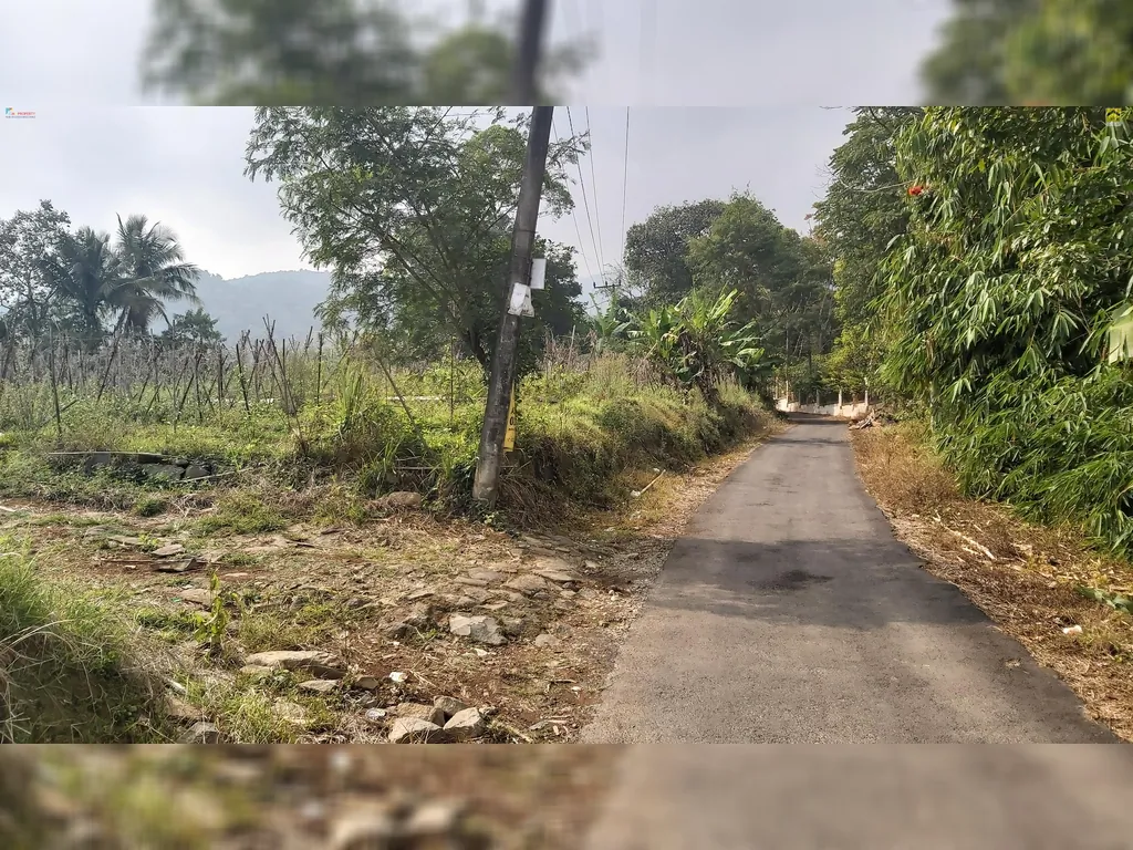 Tanah Dijual Di Desa Wanayasa Kab Purwakarta Peruntukan Villa dan Pertanian