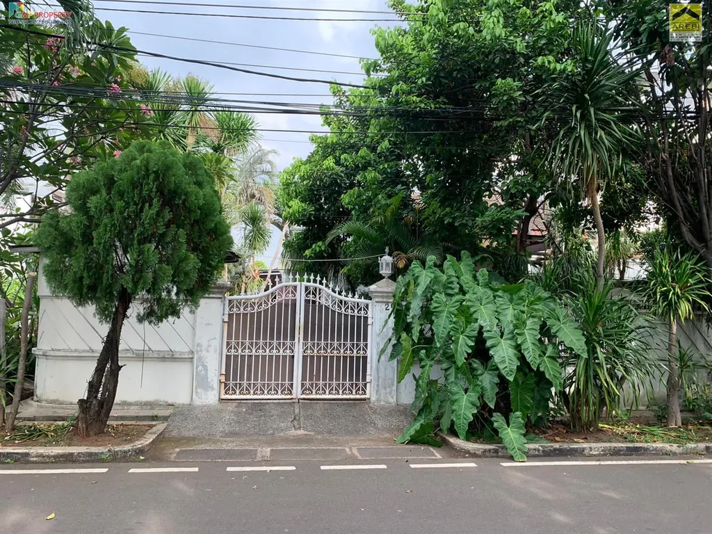 WhatsApp Image 2025-07-30 at 12.07.12 PM.jpeg