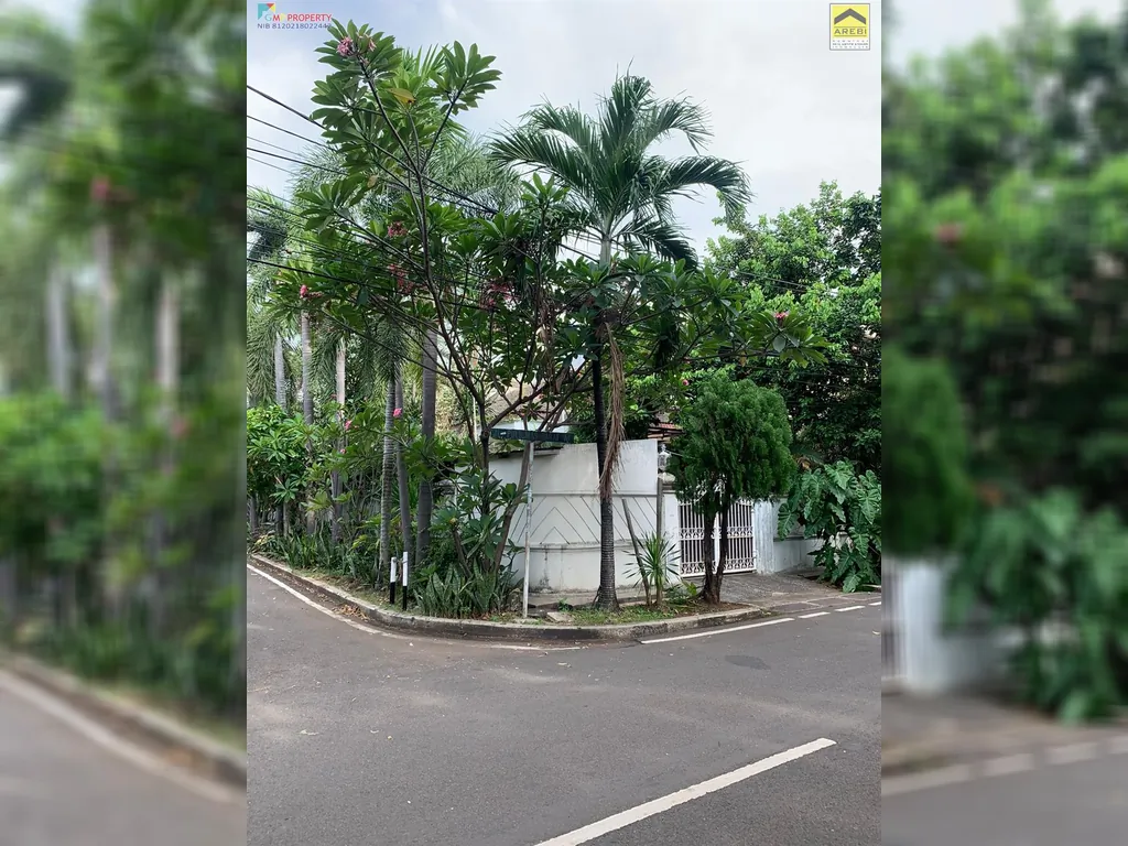 WhatsApp Image 2025-07-30 at 12.07.13 PM.jpeg