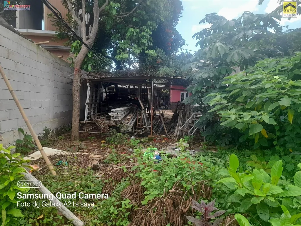 WhatsApp Image 2024-01-24 at 07.42.54.jpeg