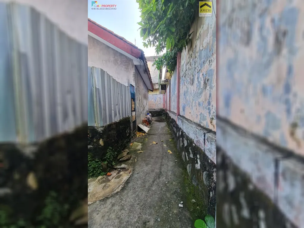 agus salim (12).jpeg