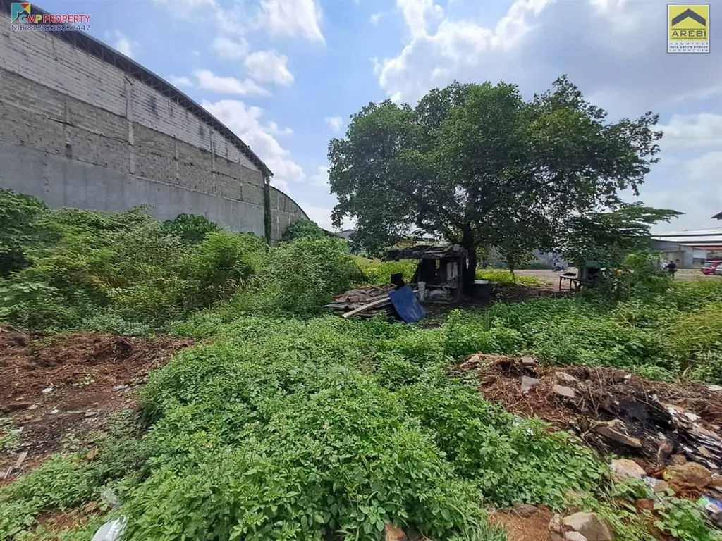 teluk pucung (1).jpeg