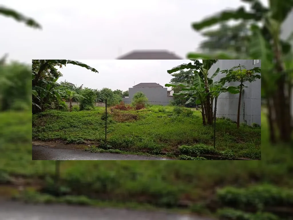 WhatsApp Image 2023-02-16 at 15.07.51.jpeg