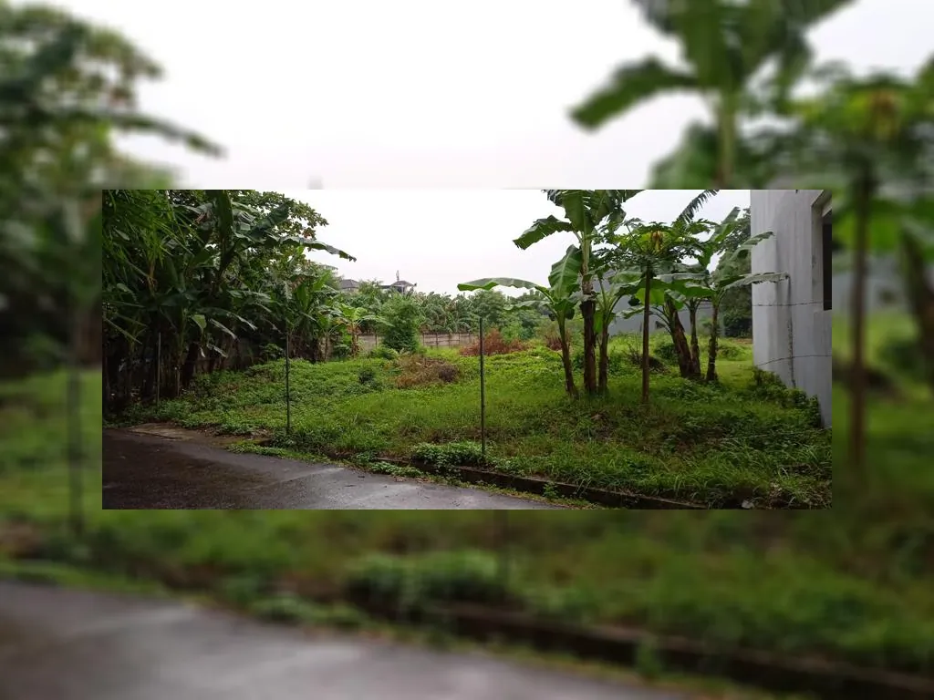 WhatsApp Image 2023-02-16 at 15.07.35.jpeg