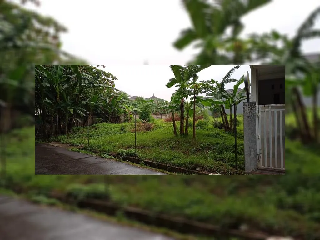 WhatsApp Image 2023-02-16 at 15.07.19.jpeg