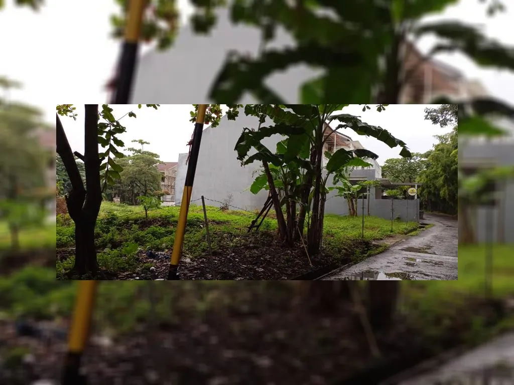 WhatsApp Image 2023-02-16 at 15.06.33.jpeg