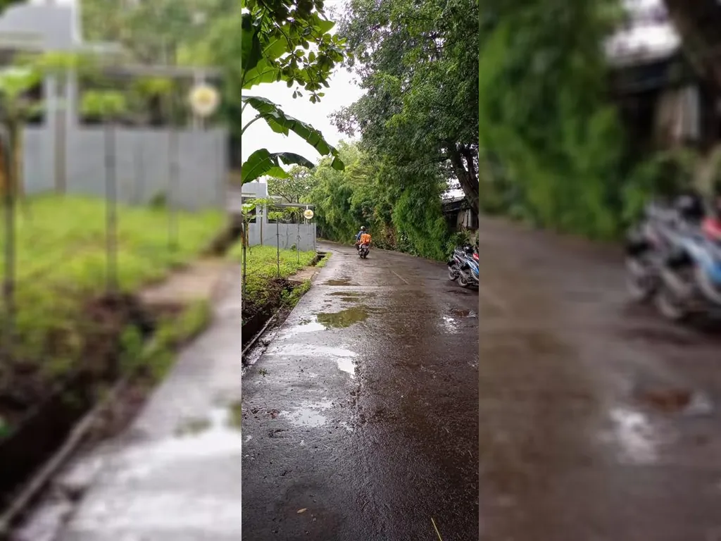 WhatsApp Image 2023-02-16 at 15.06.13.jpeg