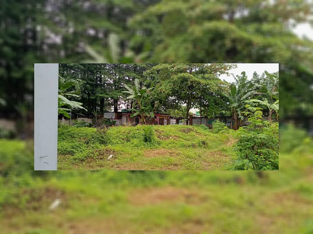 WhatsApp Image 2023-02-16 at 15.05.08.jpeg