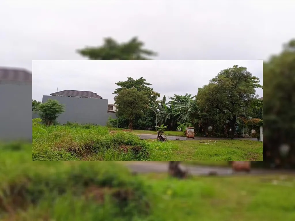 WhatsApp Image 2023-02-16 at 15.04.48.jpeg