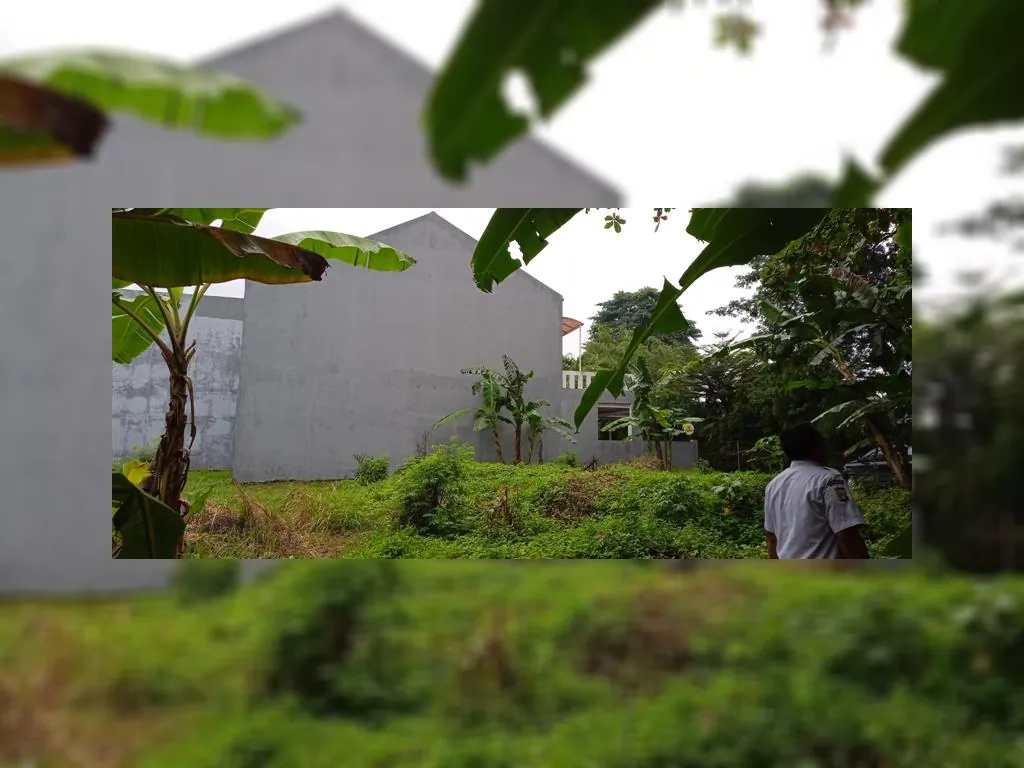 WhatsApp Image 2023-02-16 at 15.04.14.jpeg