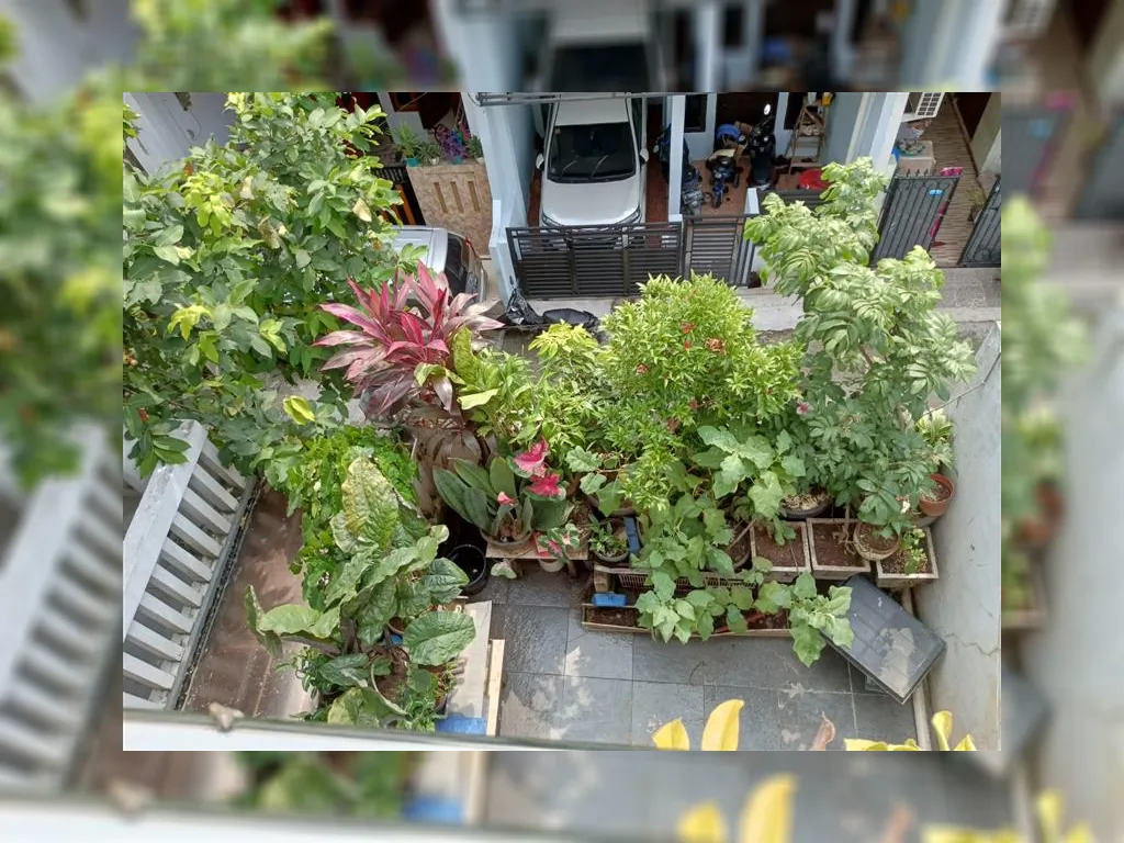 permata hijau (12).jpeg