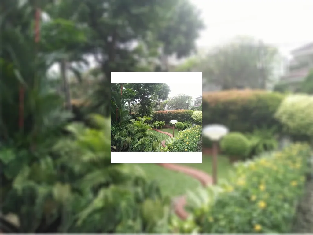 Rumah Menteng Jakarta Pusat Rumah Second Terawat Halaman Luas Harga Murah IMG-20180808-WA0035.jpg