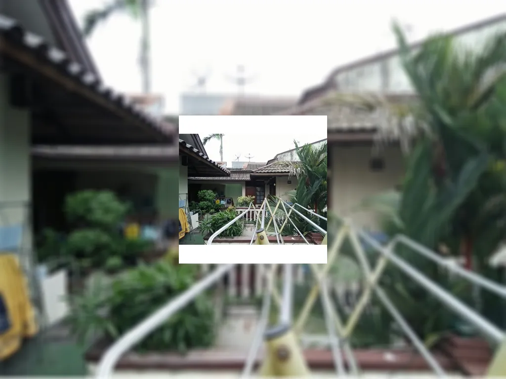 Rumah Menteng Jakarta Pusat Rumah Second Terawat Halaman Luas Harga Murah IMG-20180808-WA0038.jpg