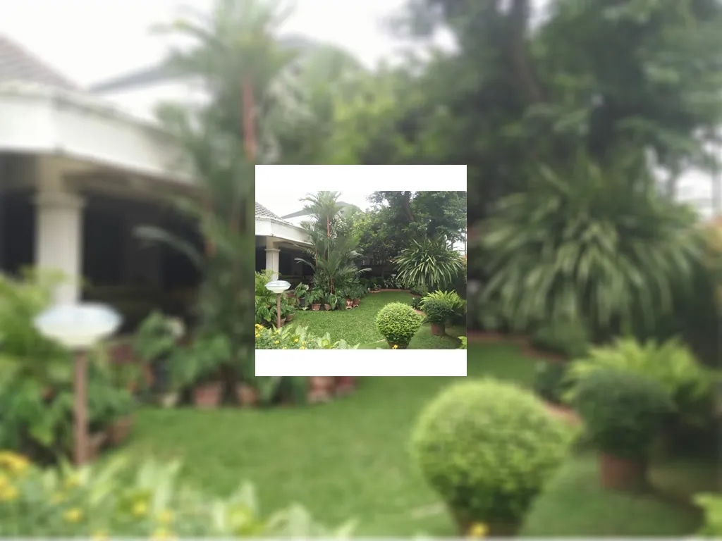 Rumah Menteng Jakarta Pusat Rumah Second Terawat Halaman Luas Harga Murah IMG-20180808-WA0039.jpg