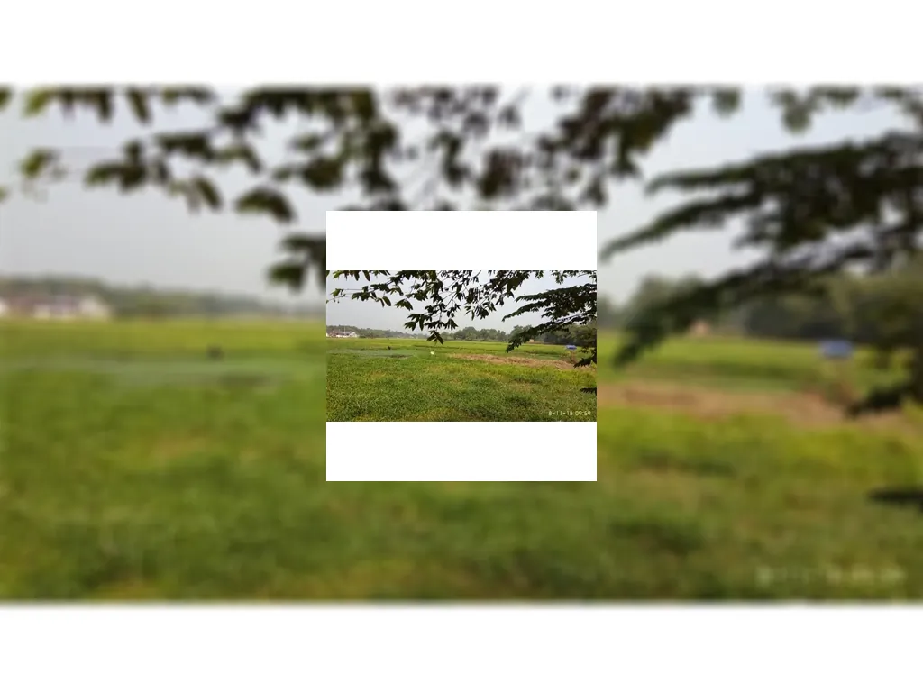 Tanah di Setu Bekasi dekat ke Exit Tol Cibitung Cari Tanah murah di Setu Bekasi (2).jpeg