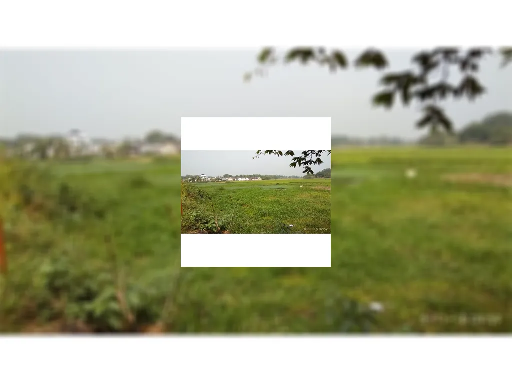 Tanah di Setu Bekasi dekat ke Exit Tol Cibitung Cari Tanah murah di Setu Bekasi (3).jpeg