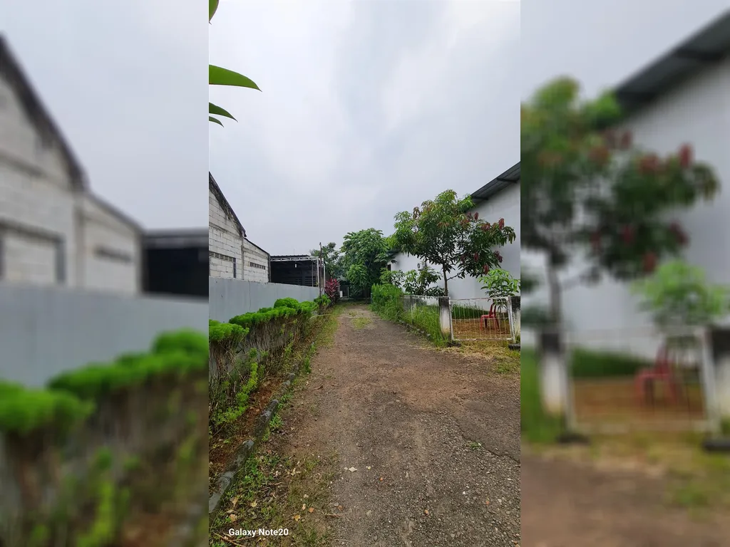 Tanah dijual di Kalimulya Depok (1).jpg
