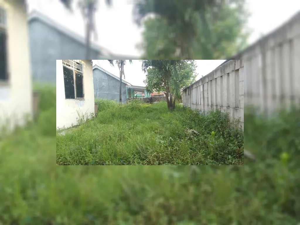 WhatsApp Image 2023-05-10 at 07.34.14.jpeg