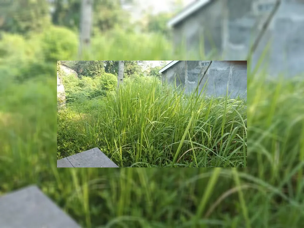 WhatsApp Image 2023-05-10 at 07.34.35.jpeg