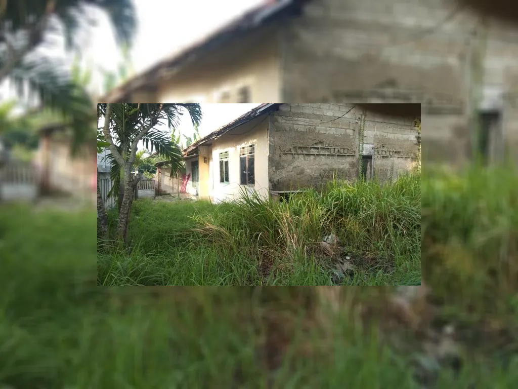 WhatsApp Image 2023-05-10 at 07.35.34.jpeg