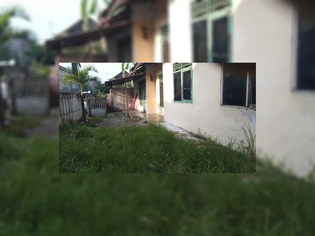 WhatsApp Image 2023-05-10 at 07.35.24.jpeg