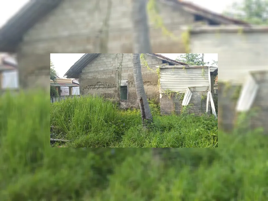 WhatsApp Image 2023-05-10 at 07.36.24.jpeg