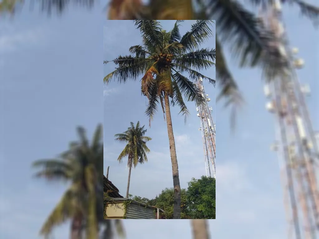 WhatsApp Image 2023-05-10 at 07.36.40.jpeg