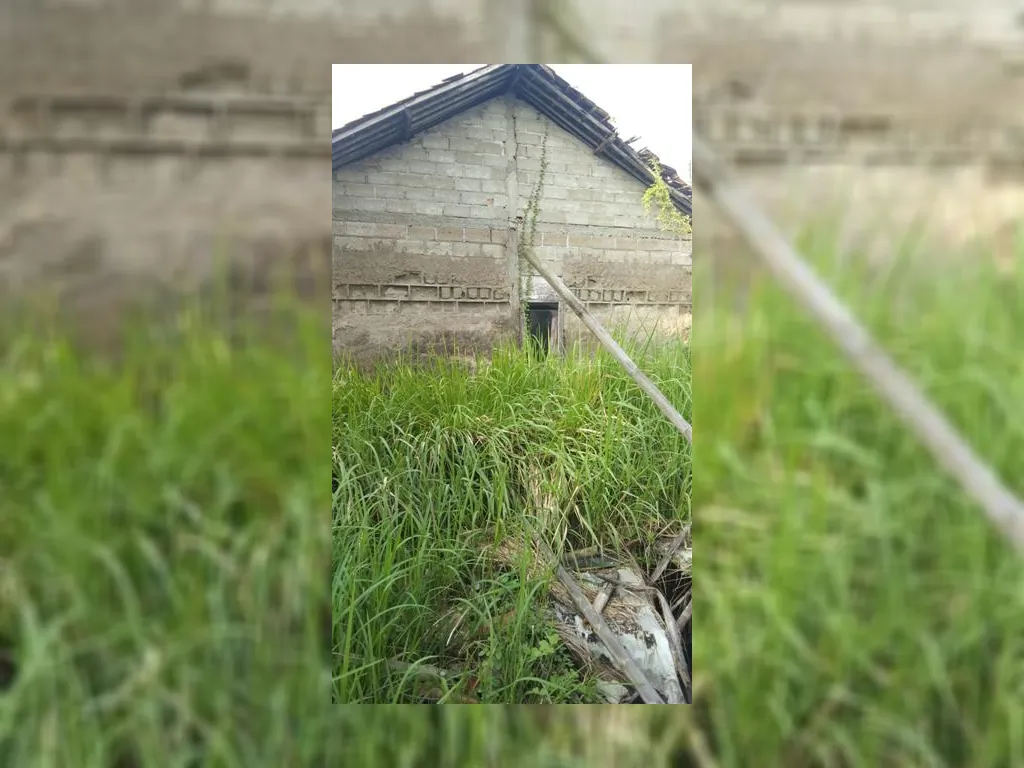 WhatsApp Image 2023-05-10 at 07.36.50.jpeg