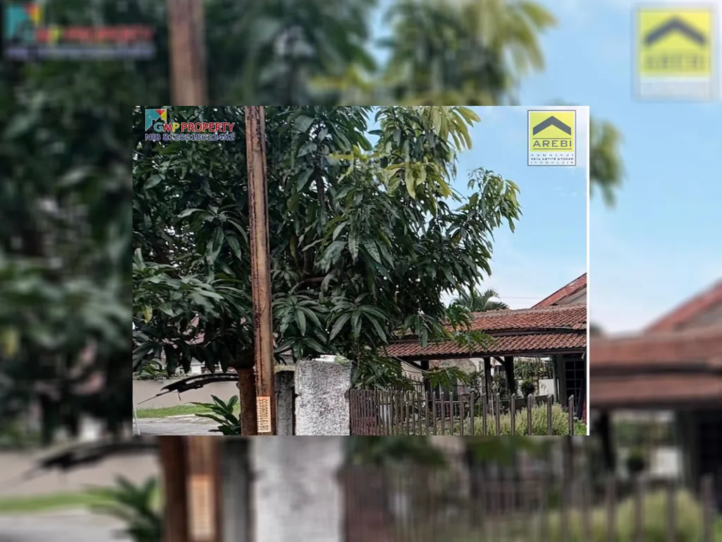 wmremove-transformed (3).png