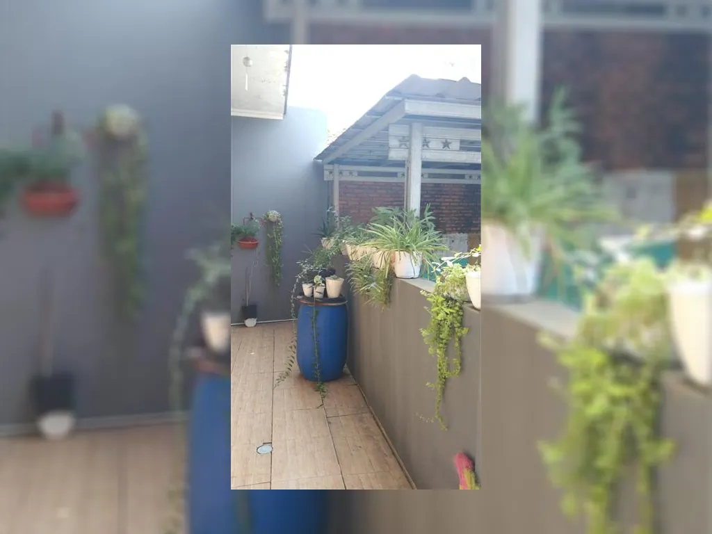 WhatsApp Image 2023-05-27 at 10.06.34.jpeg