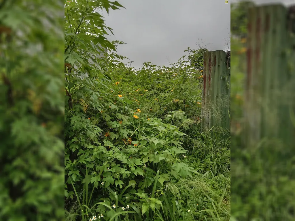 Tanah kavling di jual di bojong koneng atas (2).jpg