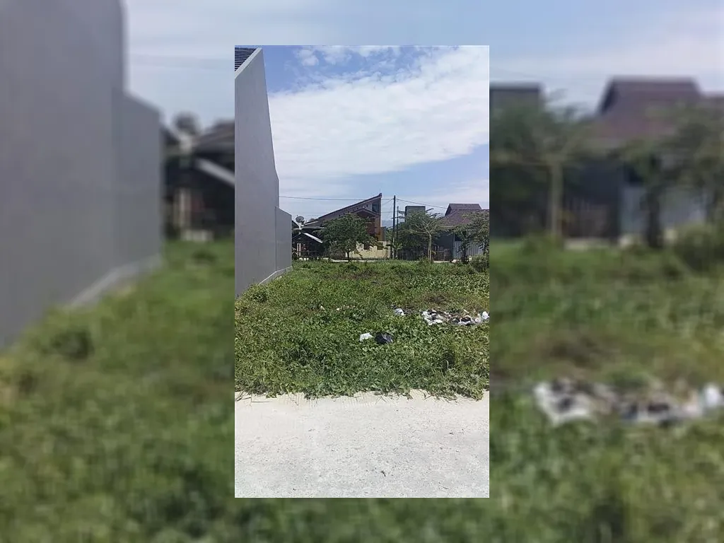 WhatsApp Image 2019-11-18 at 20.40.06.jpeg