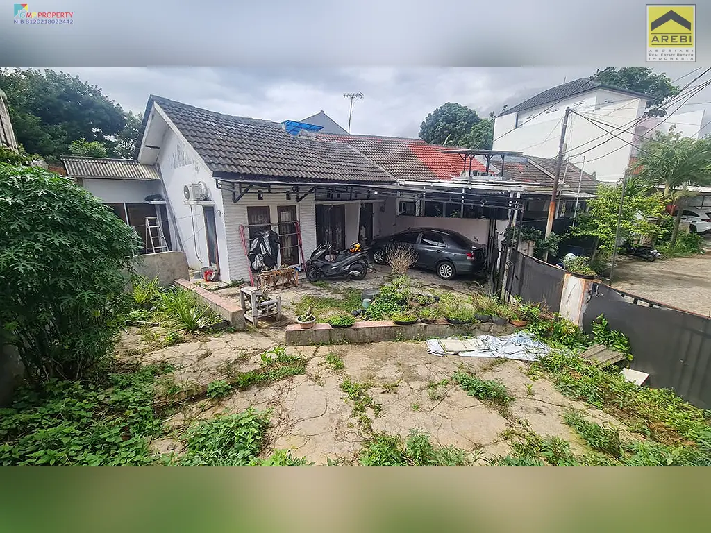 Uploaded file: ZAMRUD (11)