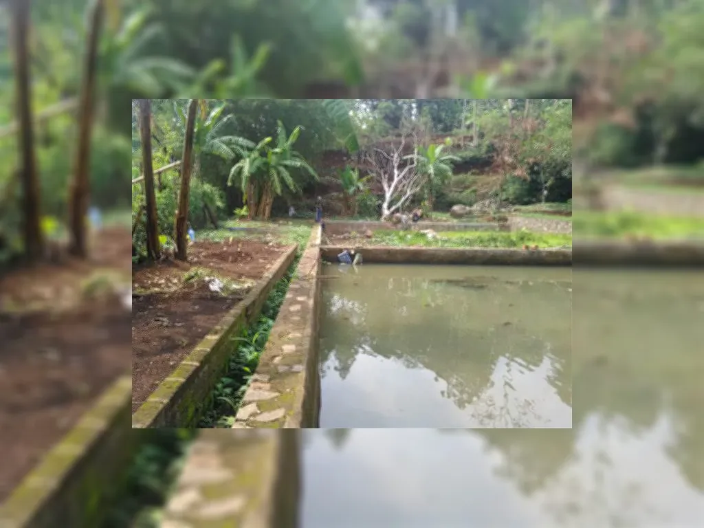 Tanah bonus bangunan jalan sasak jatihandap (19).jpeg