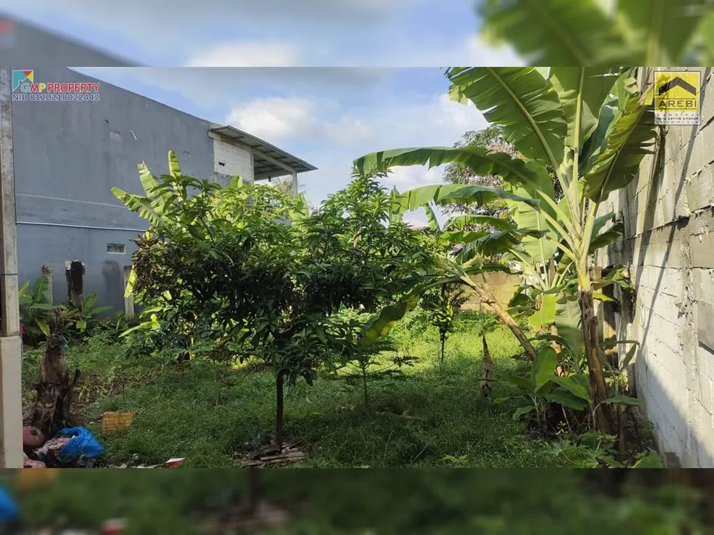 WhatsApp Image 2024-05-16 at 10.20.33 (1).jpeg