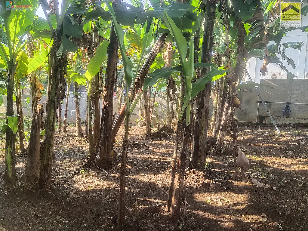 Uploaded file: IMG_20260414_080234