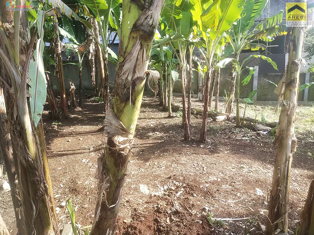 Uploaded file: IMG_20260414_075945