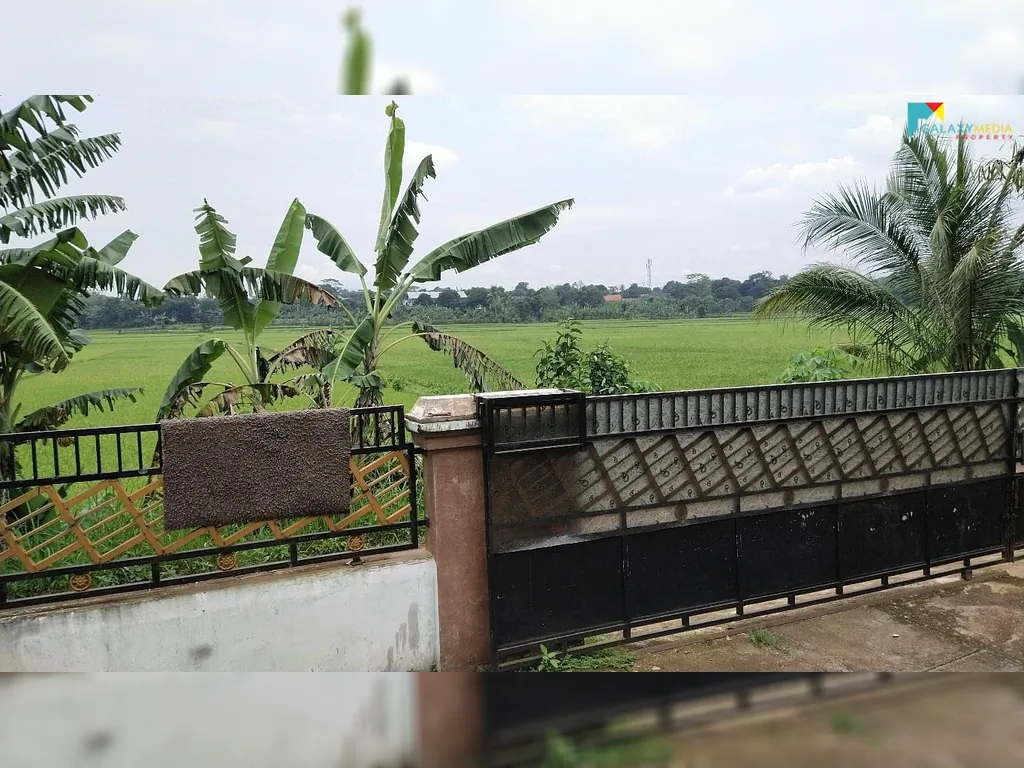 Rumah Di Depan Hamparan Sawah 