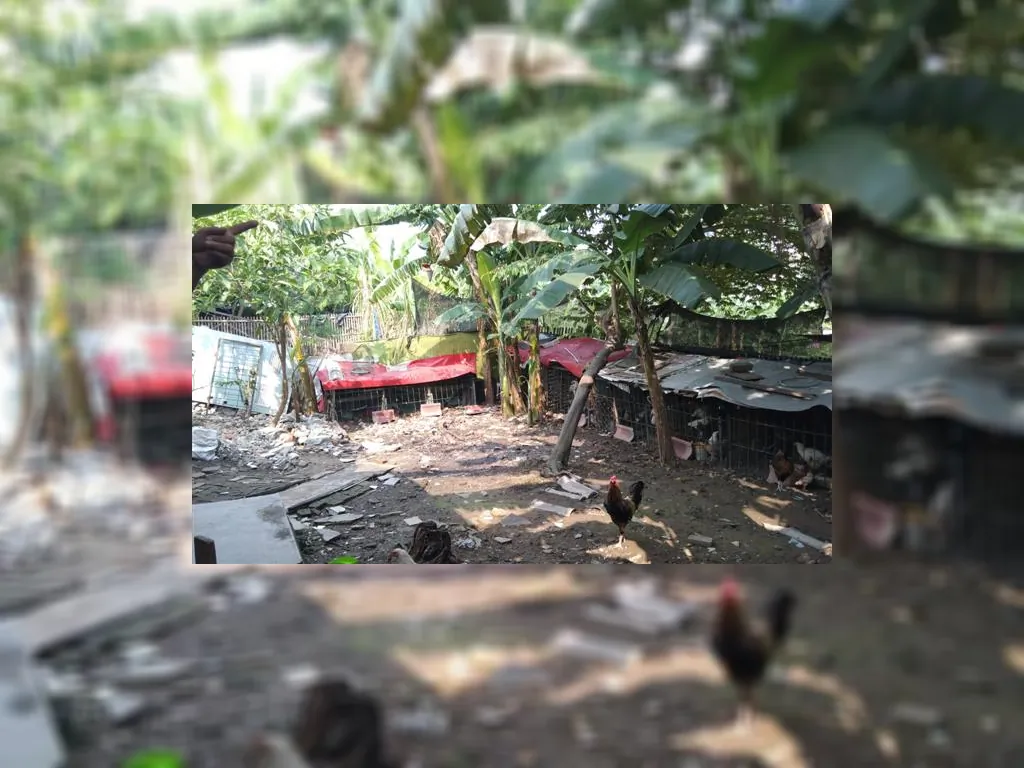 WhatsApp Image 2023-05-27 at 09.52.05.jpeg